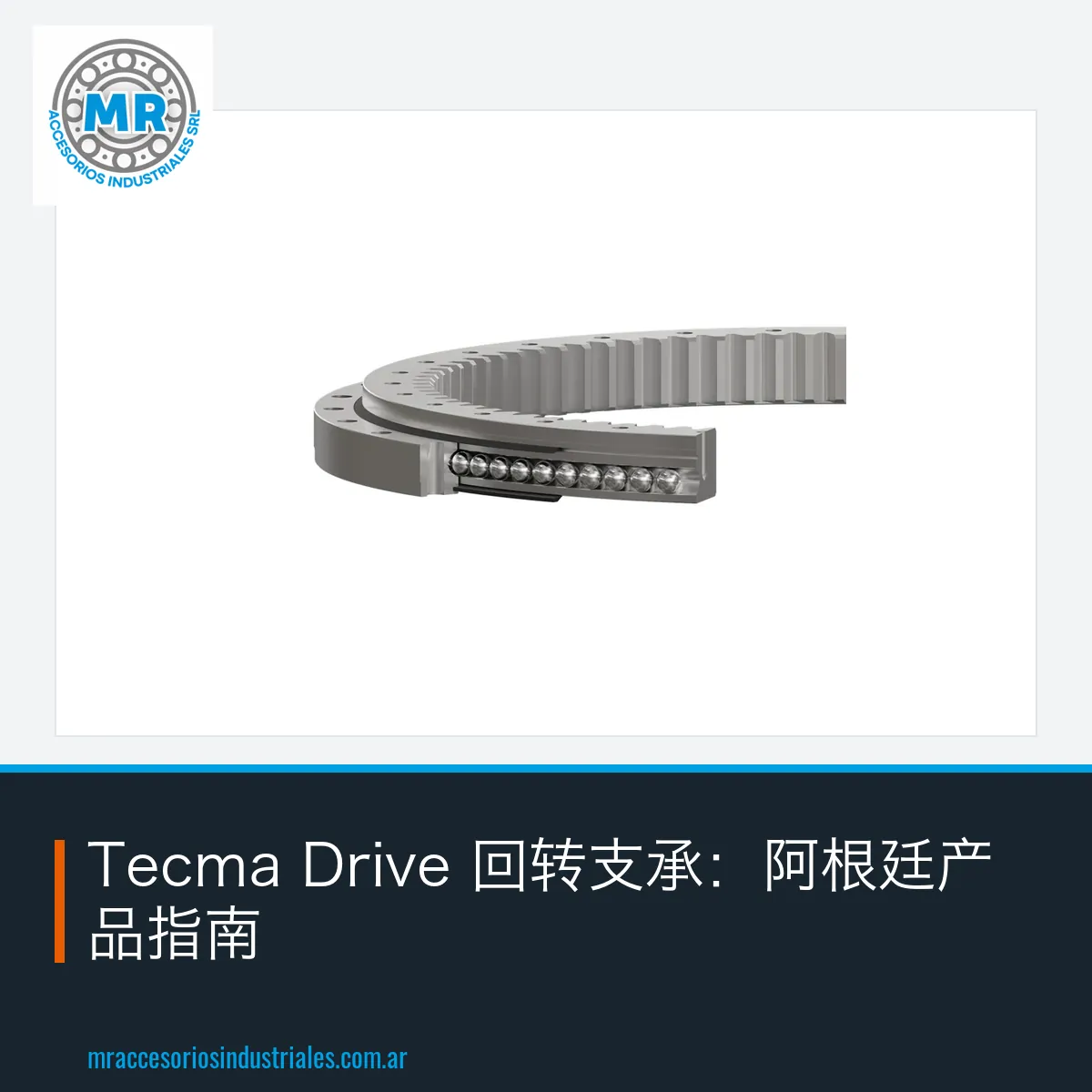 Tecma Drive 回转支承：阿根廷产品指南