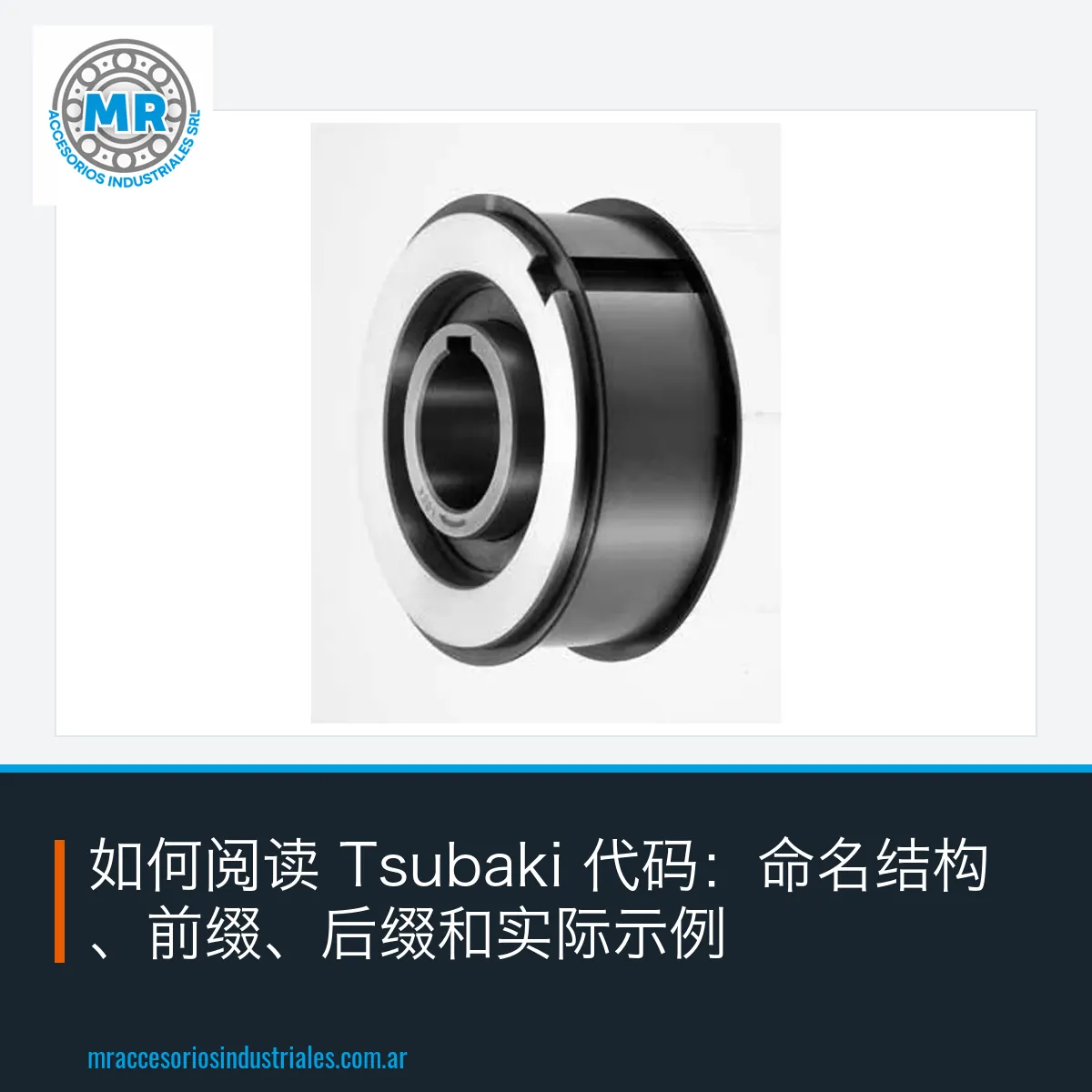 如何阅读 Tsubaki 代码:命名结构、前缀、后缀和实际示例