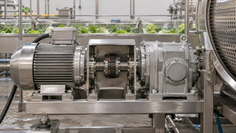 Motor, acople y reductor de acero inoxidable en el accionamiento de una lavadora de verduras