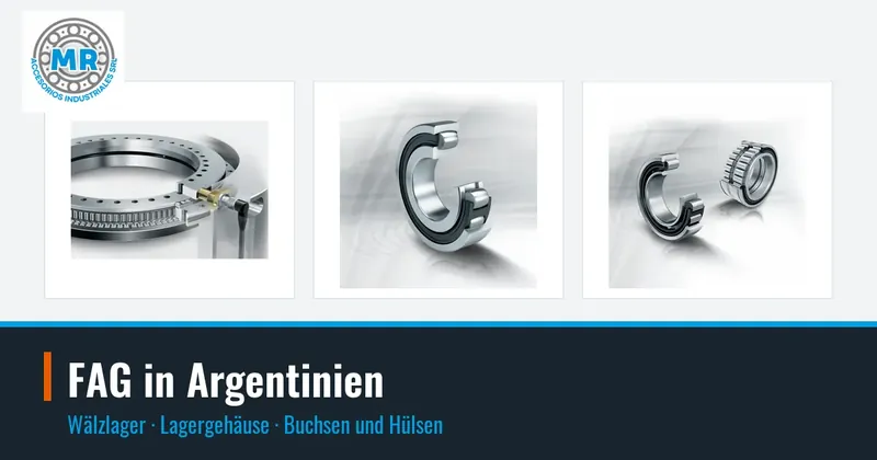 FAG in Argentinien: Wälzlager, Lagergehäuse, Buchsen und Hülsen