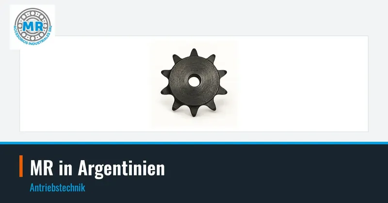 MR in Argentinien: Antriebstechnik