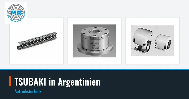 TSUBAKI in Argentinien: Antriebstechnik