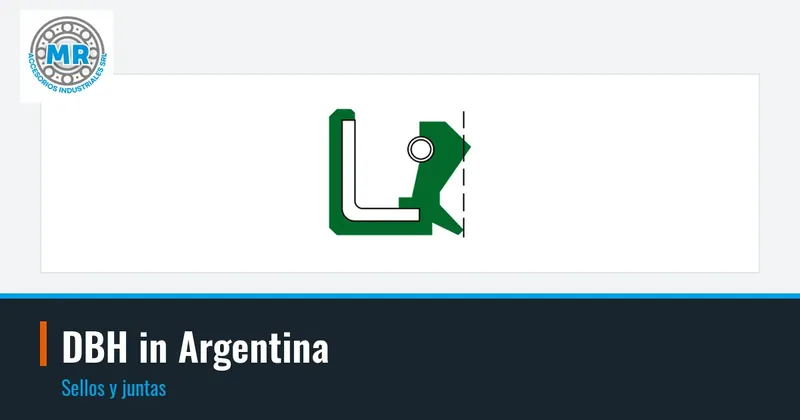DBH in Argentina: sellos y juntas