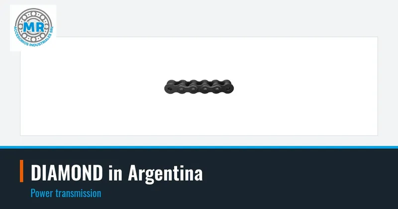 DIAMOND in Argentina: power transmission