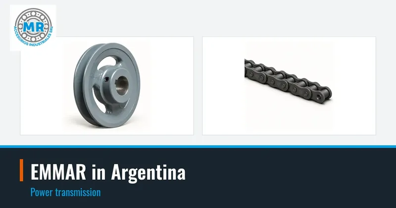 EMMAR in Argentina: power transmission