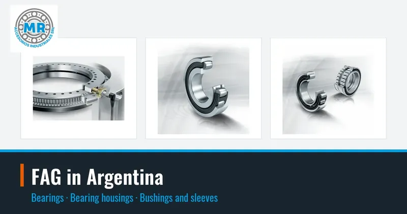 FAG in Argentina: bearings, bearing housings, bushings and sleeves