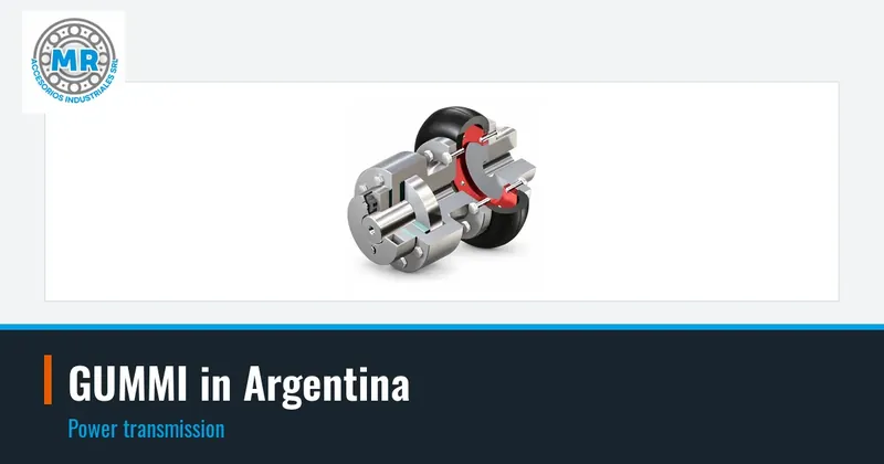 GUMMI in Argentina: power transmission