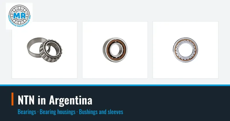 NTN in Argentina: bearings, bearing housings, bushings and sleeves