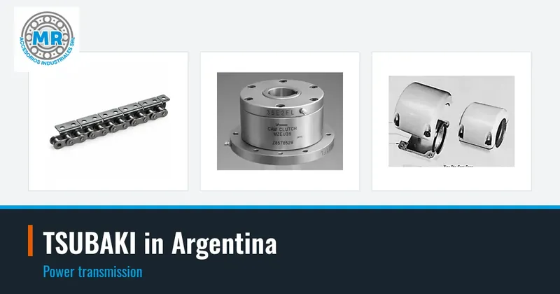TSUBAKI in Argentina: power transmission