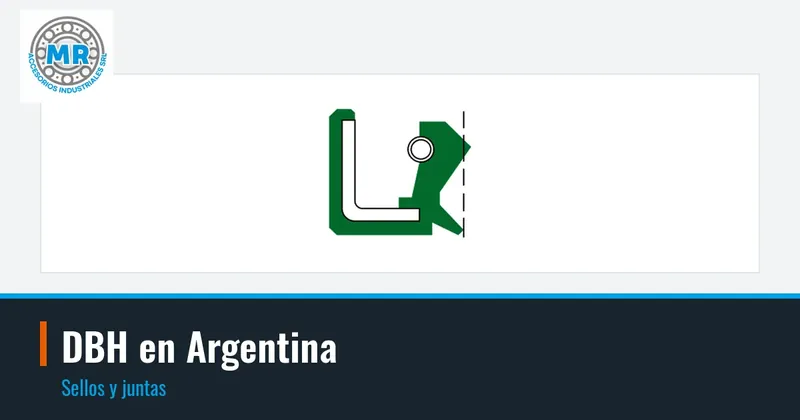 DBH en Argentina: sellos y juntas