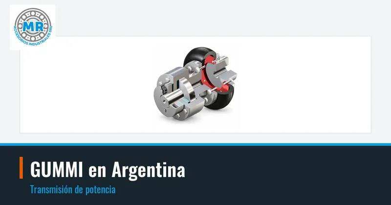 GUMMI en Argentina: transmisión de potencia