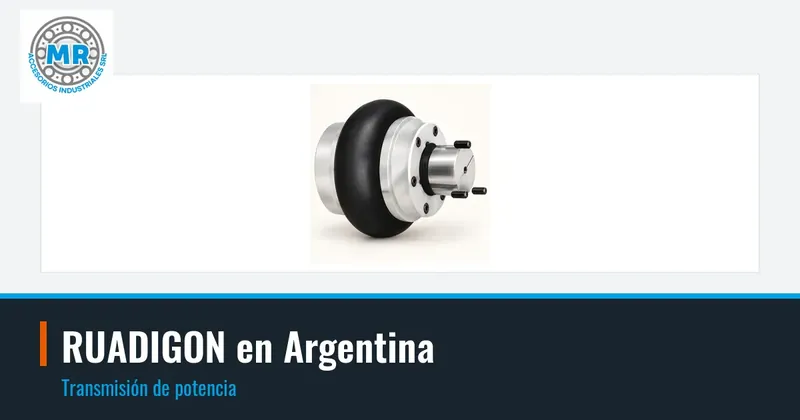 RUADIGON en Argentina: transmisión de potencia