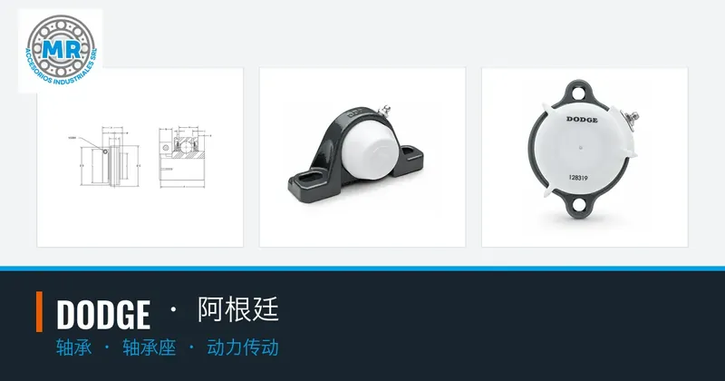 DODGE · 阿根廷:轴承, 轴承座, 动力传动