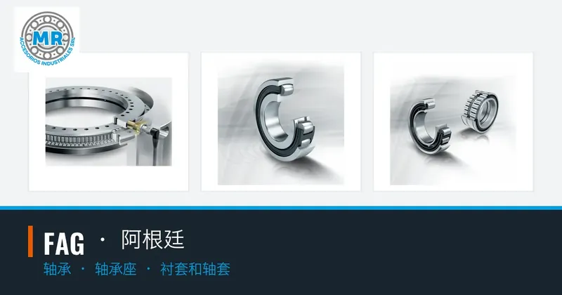 FAG · 阿根廷：轴承, 轴承座, 衬套和轴套