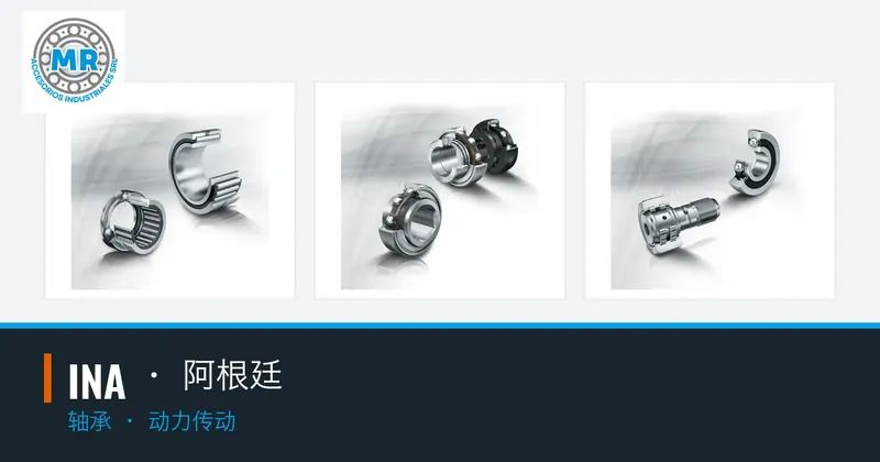 INA · 阿根廷：轴承, 动力传动