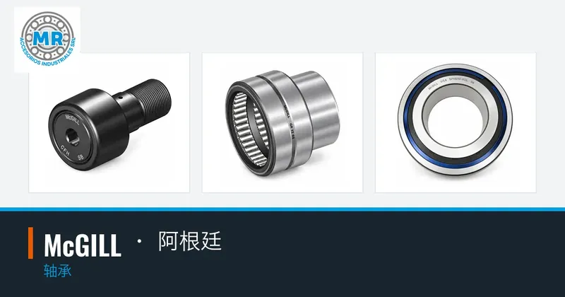 McGILL · 阿根廷：轴承