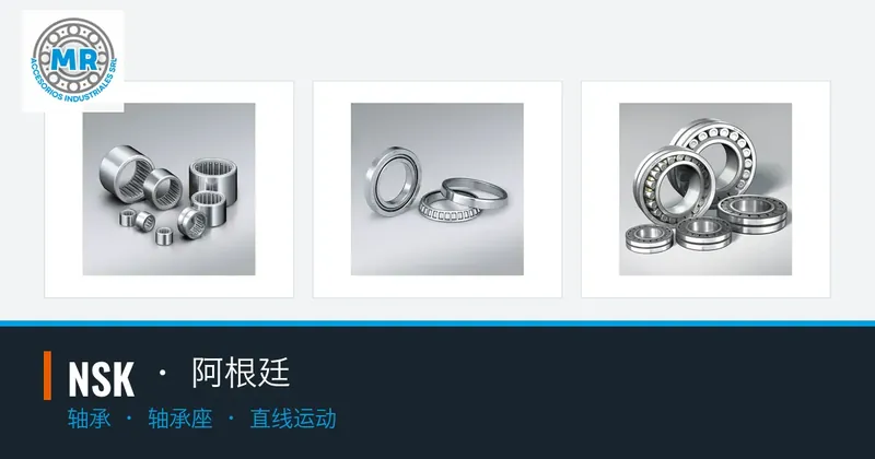 NSK · 阿根廷：轴承, 轴承座, 直线运动