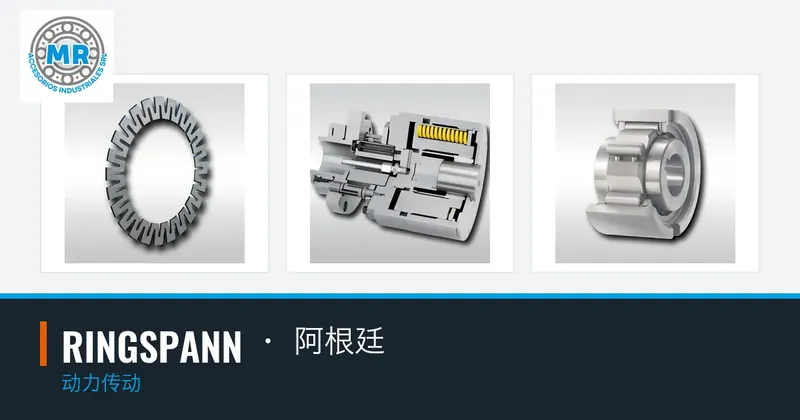 RINGSPANN · 阿根廷：动力传动