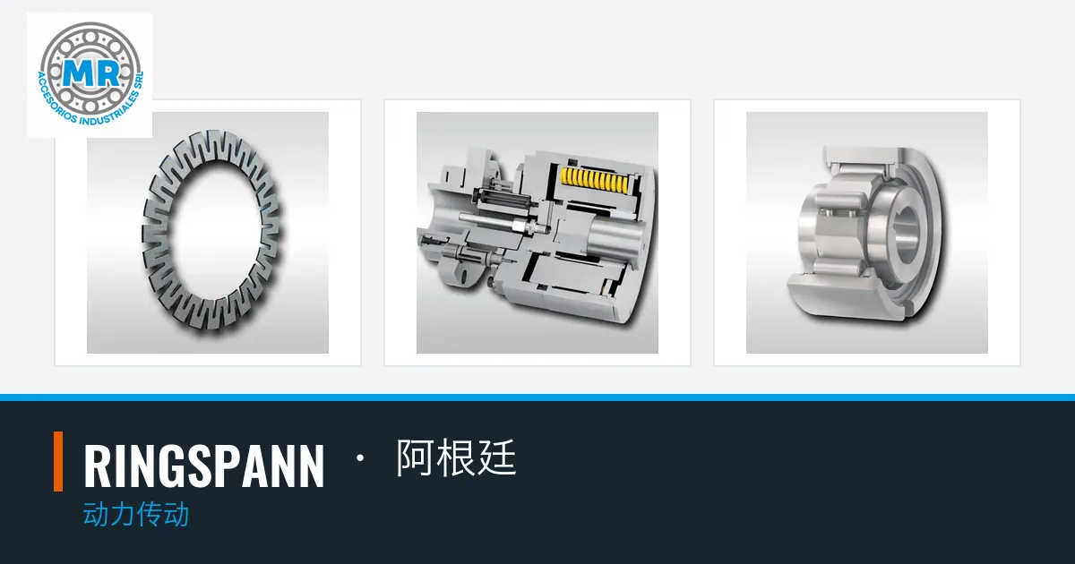 RINGSPANN · 阿根廷：动力传动