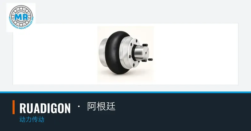 RUADIGON · 阿根廷：动力传动