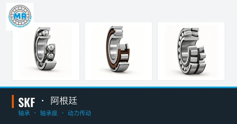 SKF · 阿根廷:轴承, 轴承座, 动力传动