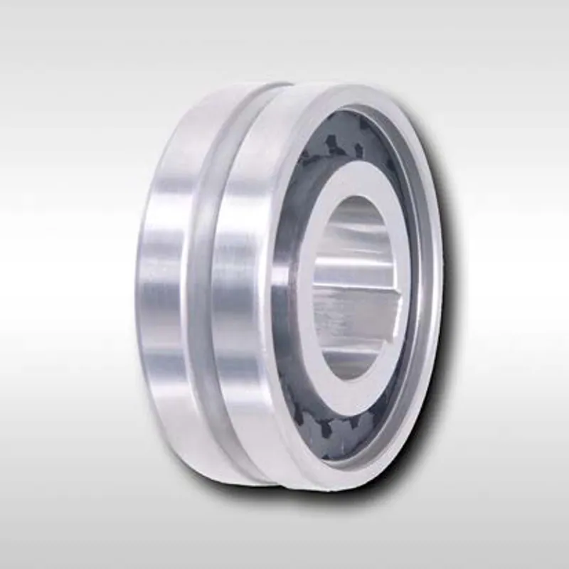 Freilauf RINGSPANN · RINGSPANN FDN 40 CFH