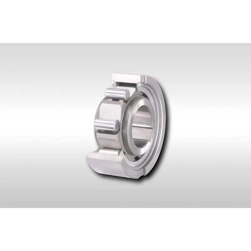 Rueda libre RINGSPANN · RINGSPANN FSN 12