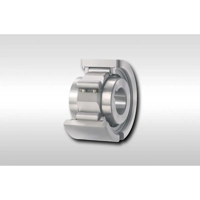 Rueda libre RINGSPANN · RINGSPANN FN 20