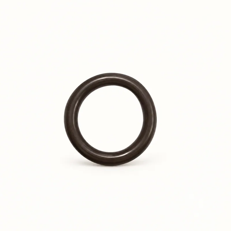 Anillo O de goma para reparación de bombas de lubricación · SKF LL/34166